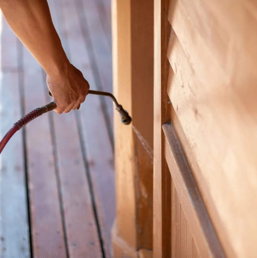 Trusted Pest Control - North Greece Pest Control Pros | North Greece, NY